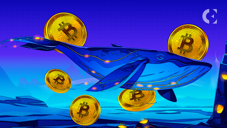 Whales_dump_$100M_worth_Bitcoin_BTC_struggles_under_$20k