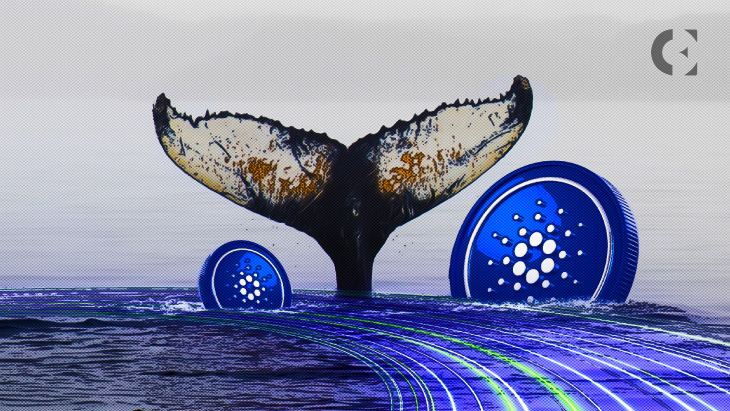 Where-did-Cardano-Whale-go-I'm-sad-now