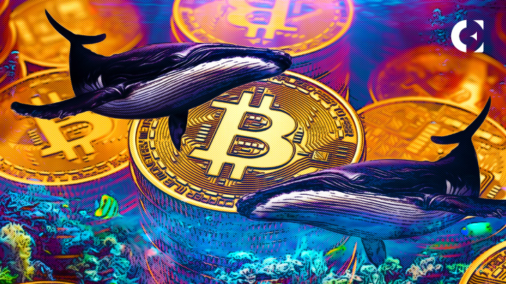 Bitcoin_whales_are_showing_signs_of_sustained_accumulation,_which