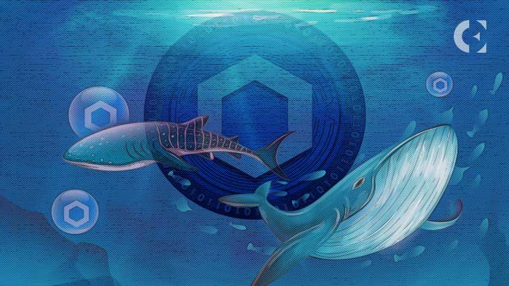 Chainlink's-shark-&-whale-addresses