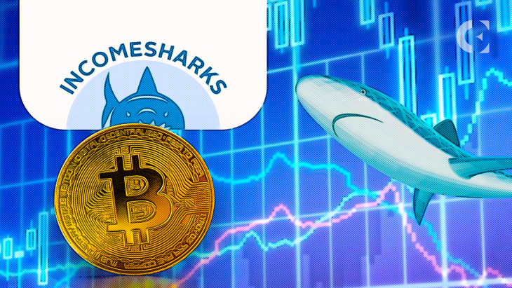 Multiple Indicators Suggest That Bitcoin Is Ready for a Rally