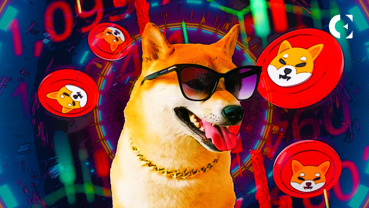 SHIB DOGE Footsteps