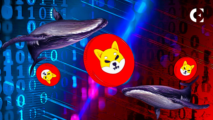 SHIB The Biggest Holding By Dollars Among Top 100 ETH Whales