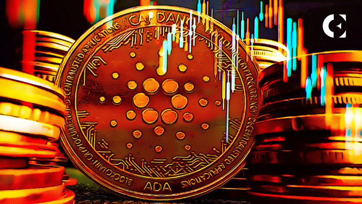 ADA Whale Shares His View on Crypto