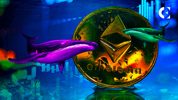 Top 5000 Ethereum Whales Hold $75,289,824 Worth SHIB Combined