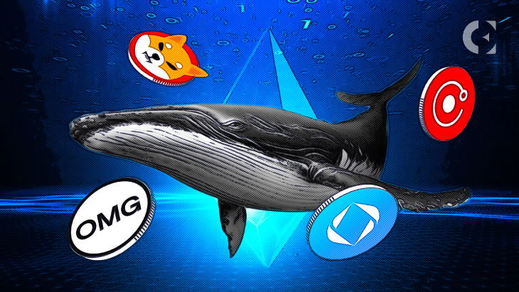 WhaleStats Lists Top 10 Tokens Traded By The Top 100 ETH Whales