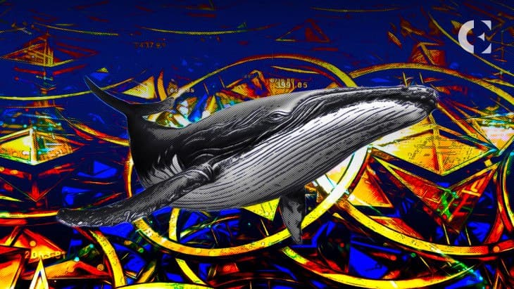Top 2000 Ethereum Whales Hold $80 Million Worth of SHIB on Average