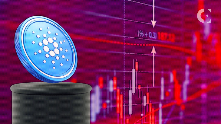 ADA Whale Shares Crypto Protocols and Secured Chains