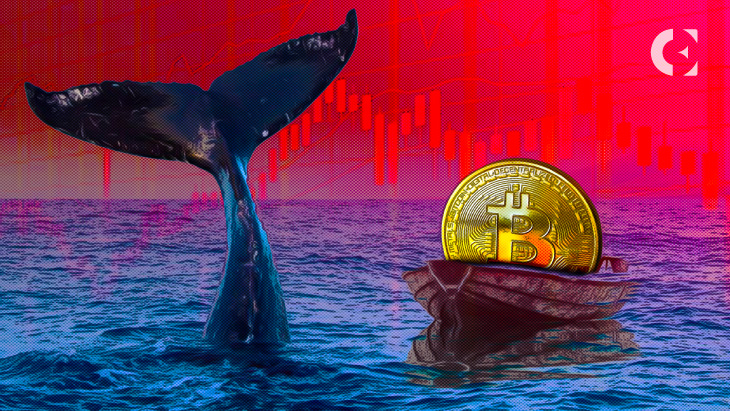 BTC Drop