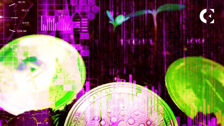 Cardano-(ADA)-Becoming-Long-Term-Investment