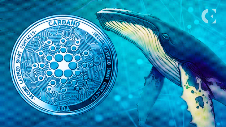 Crypto Analyst Tweets About the Latest Cardano Projects