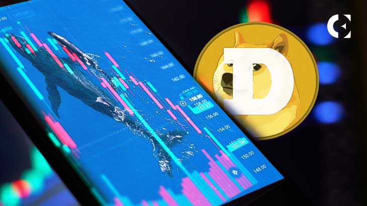 Doge-38-whales-transaction