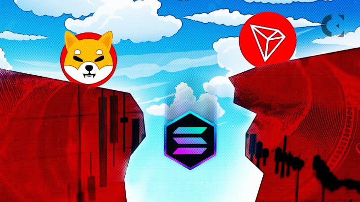 Web3 CEO Makes Mockery of Solana as It Drops Below Shiba Inu