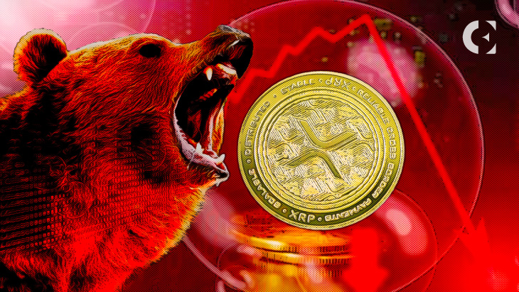 XRP Market Bulls