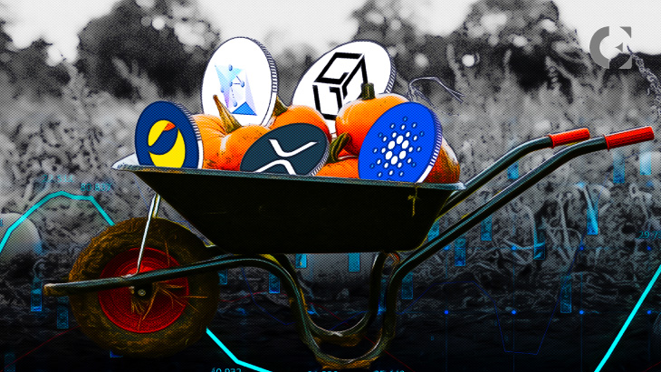 Crypto Community Prepares for Altcoin Pump in the Coming Days