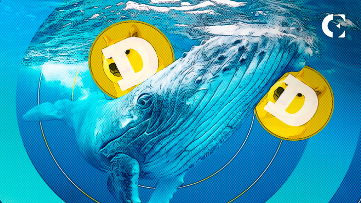 Dogecoin whales transfer millions of DOGE to unknown wallets