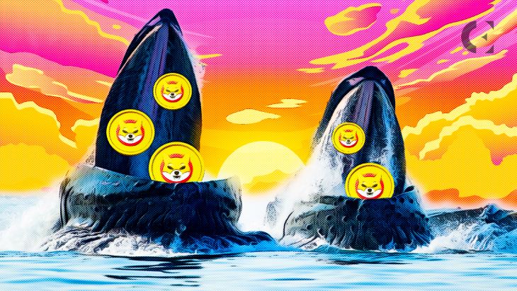 Whales Accumulated Over $100M in SHIB Tokens Within the Past Week