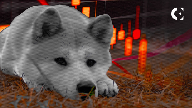 Shiba Inu Records Decline In Exchange Supply 