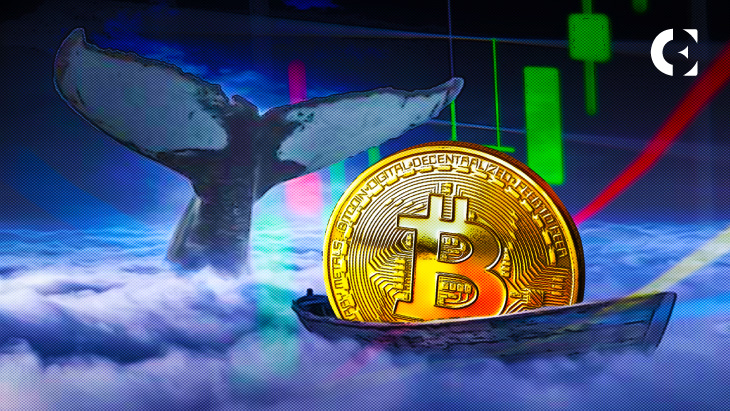 13,369 BTC Transacted in a Single Transaction, Report Suggests