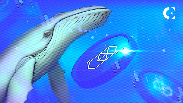 Sharks and Whales Have Been Dumping FTM Over the Last Month