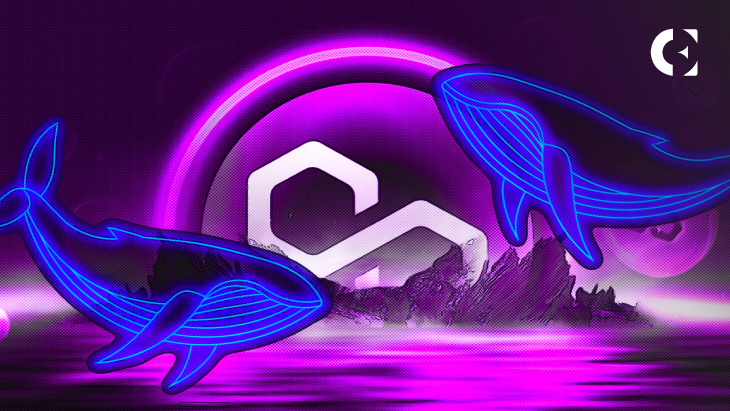 MATIC_Grows_By_18%_as_Ethereum_Whales_Buy_Over_2_8_Million_Tokens