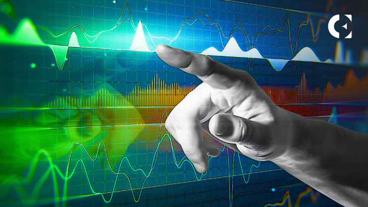 SYN Market Bulls
