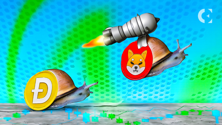 Shiba Inu May Gain 40% Against Dogecoin in Coming Weeks