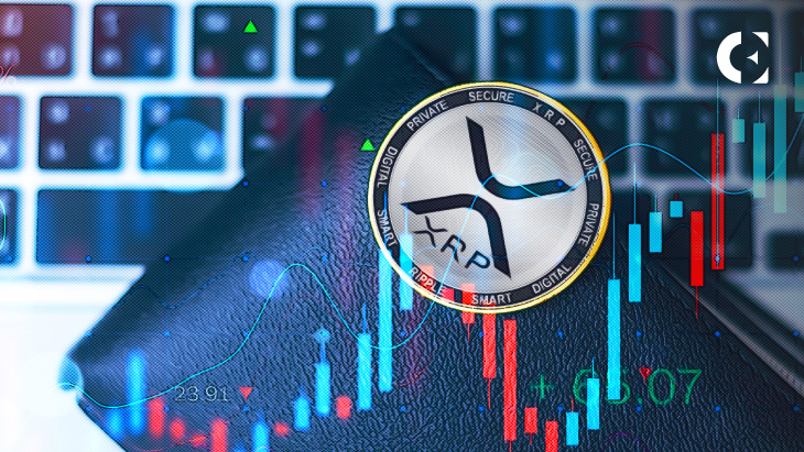 Whales Accumulate XRP Despite It Being Down 21% In 30 Days