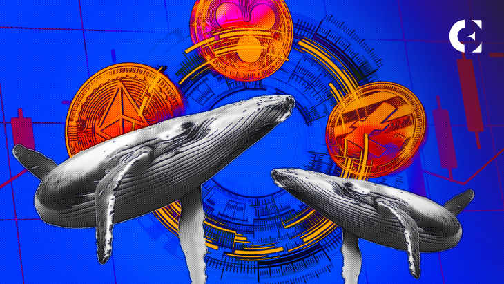 🐳_Big_whale_transaction_numbers_are_showing_up_on_several_#altcoin