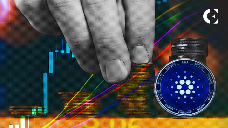ADA Whales Scoop up 560M ADA in the Last 2 Weeks: Trader