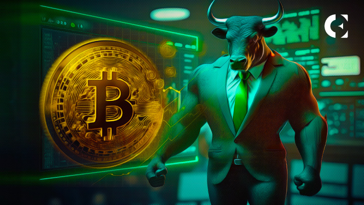 Report Says 81,717 Wallet Addresses Hold Over $1 Million In Bitcoin