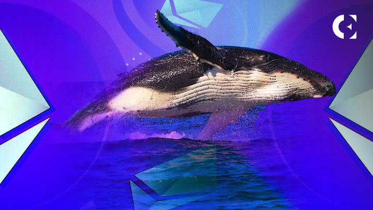 More Than 70K ETH Transferred To Bitfinex By One Whale