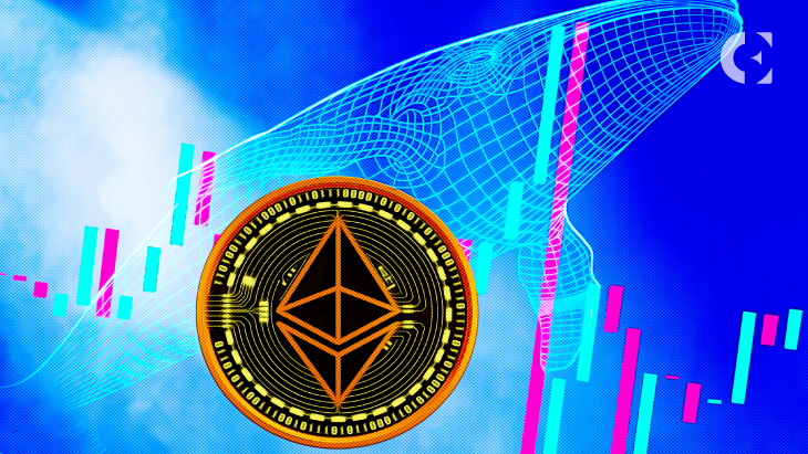 Recent On-Chain Data Indicates an Increase in ETH Whales