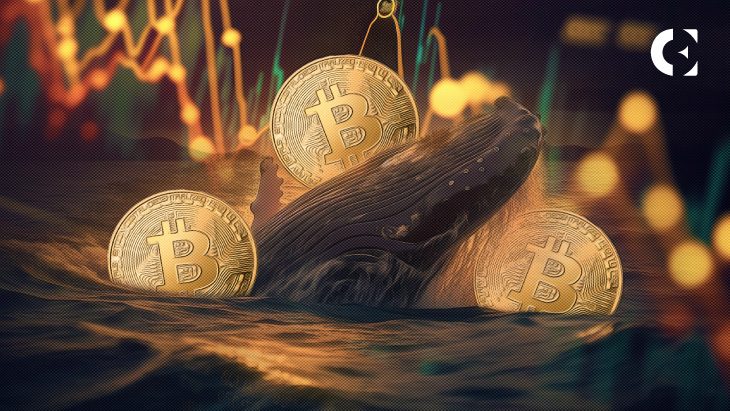 On-Chain Data Shows a Declining Amount of $1M+ BTC Transactions