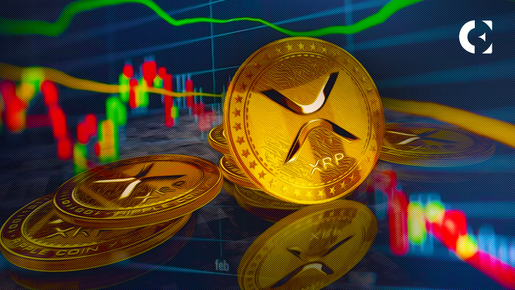 XRP Bull Believes