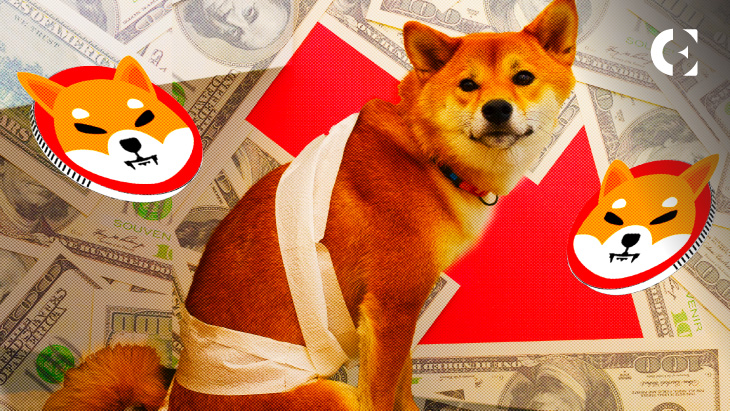 SHIB’s 90% Fall from All-Time-High Leaves 81% of Holders at Loss