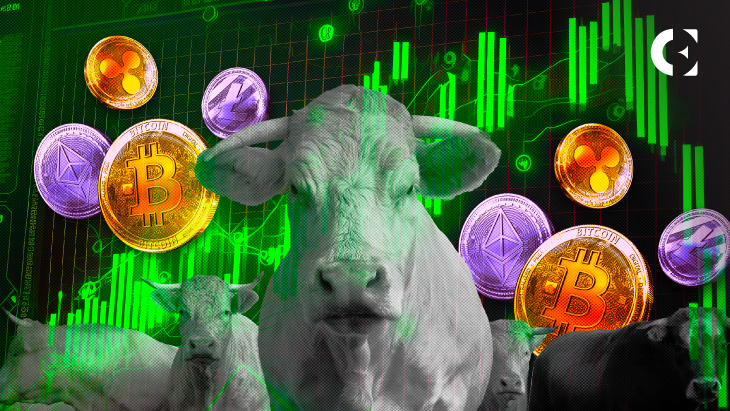 Macro-Market Structures Need Corrections to Remain Healthy: Youtuber