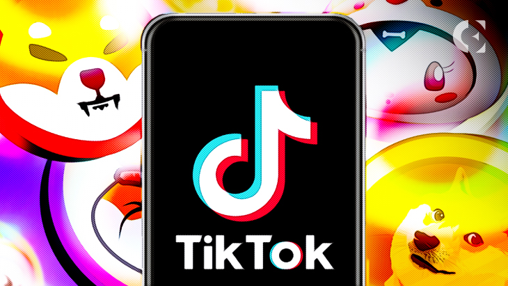 TikTok Meme Coin Rally on Breaks Records; #Memecoin Interest Hits ATH