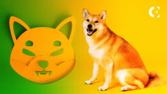 Shiba Inu Lead Developer Exposes Scammers Promoting Fake Tokens