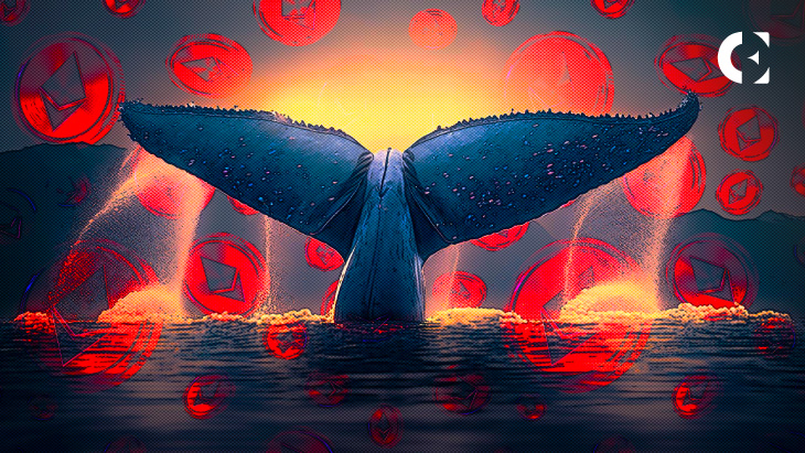 ETH Worth $30.8m Dumped on Binance by a Whale in the Past 24H
