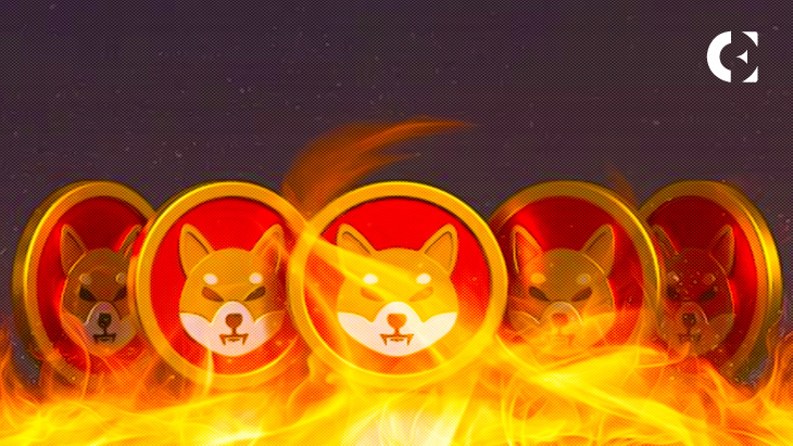 Shibarium powered SHIB Burn