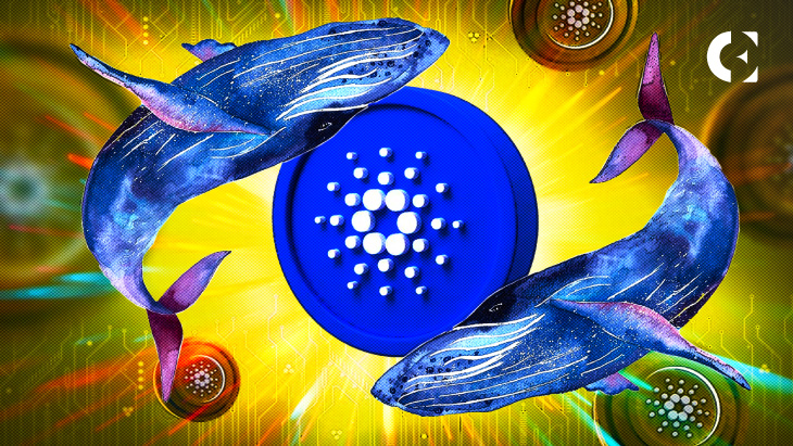 Whale ADA Telah Mengumpulkan 30 Juta Token dalam 30 Hari
