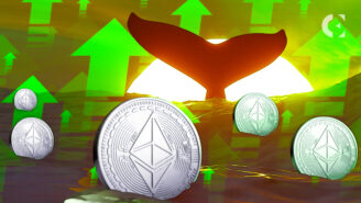 Whale Accumulates 13,526 ETH, Holds $334M in Assets