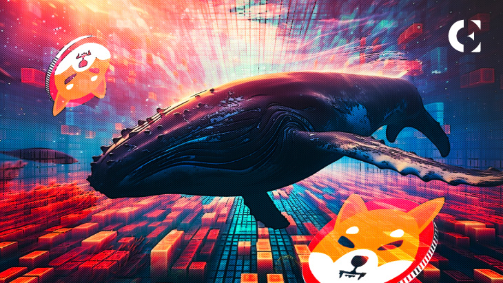 SHIB Whale Activity Surges as the Meme Coin Drops Below $0.00001