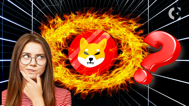 SHIB-Burn-Explained-Everything-to-Know-About-Shiba-Inu-Coin-Burning.jpg