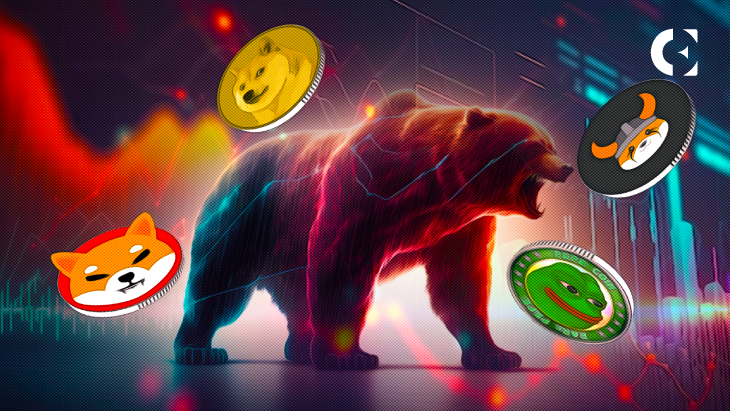 Топ токены мем-коины: Процветают на медвежьем рынке?