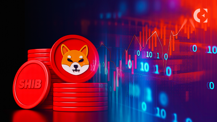 Shiba Inu (SHIB) Will Rally Above $0.001 In Upcoming Bull Run - Investor