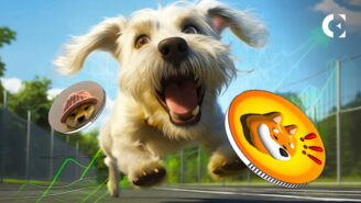  Will BONK’s Rise Over WIF Last Long? Price Analysis
