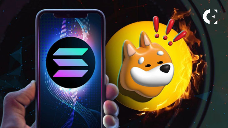 Solana (SOL), Bonk (BONK) & Shiba Budz (BUDZ): Solana Holders Join New Meme Coins For 100X Profits