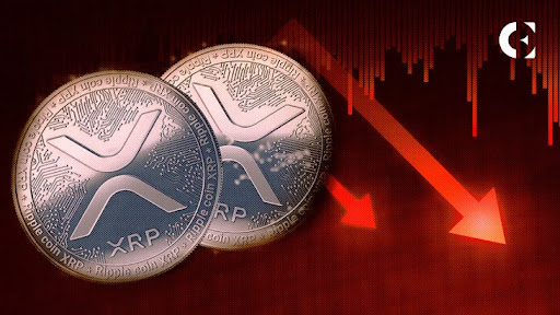 XRP's Decline Linked to Alleged Bitcoin Accumulation
